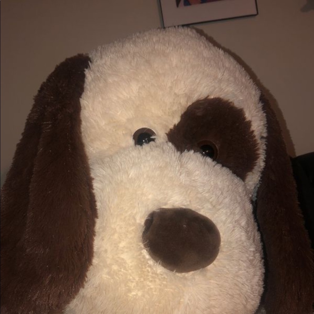 XL Dog Ploush